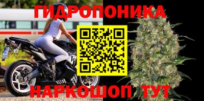 a pvp Бузулук