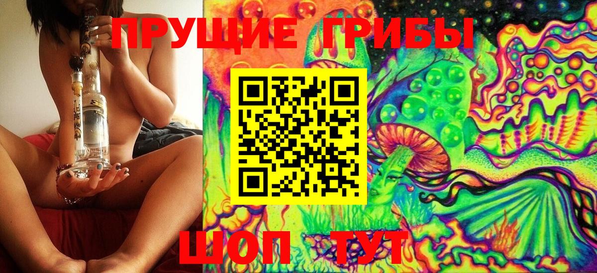 Псилоцибиновые грибы мицелий  Вход с VPN  Галлюциногенные грибы Cubensis  Протвино 